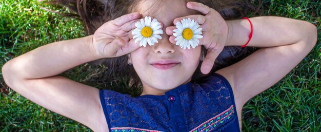 Menina está segurando flores de camomila nas mãos. Foco seletivo. natureza.