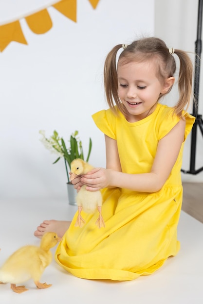 Menina feliz com pequenos patinhos em um fundo branco no estúdio