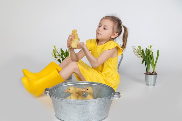 Menina feliz com pequenos patinhos em um fundo branco no estúdio