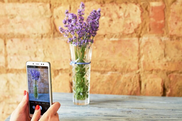 Menina fotografa um buquê de lavanda em um vaso em um smartphone