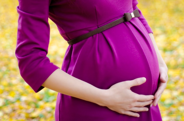 Menina grávida no vestido roxo abraça sua barriga no outono closeup