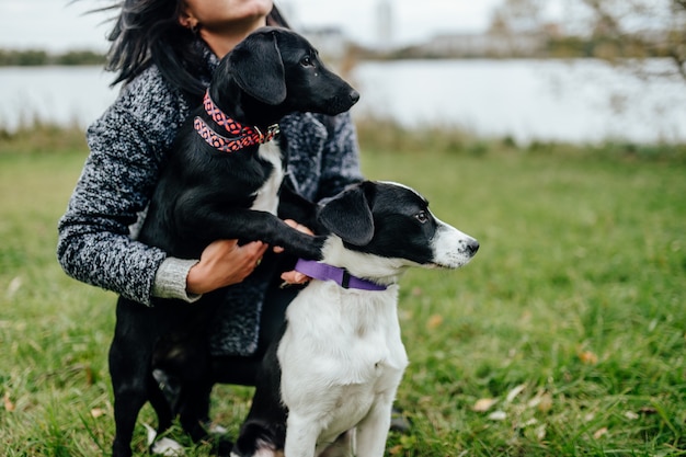 Menina linda passeando com o cachorro. fêmea bonito que joga com os filhotes de cachorro ao ar livre na natureza. proprietário com adoráveis pequenos caninos jovens com olhos de pena.