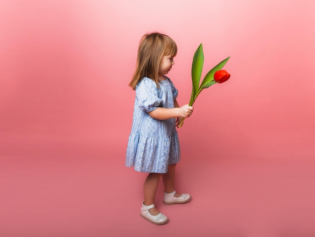 Menina loira bonitinha com um buquê de tulipas em um vestido de algodão em um fundo rosa 8 de março