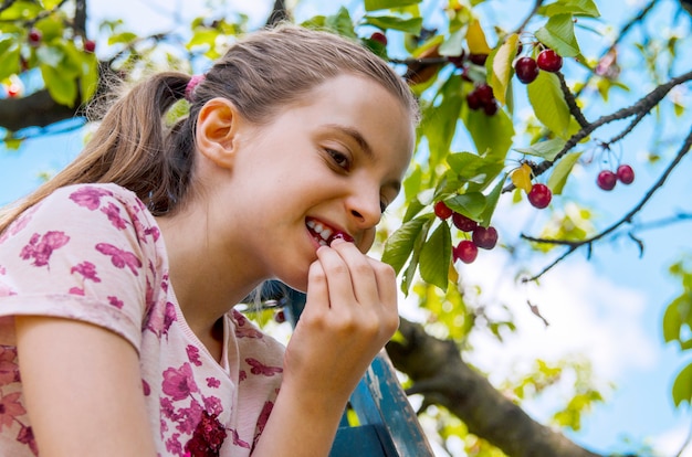 Foto menina mordida cereja sentado no galho de árvore de cereja. criança colhendo cereja e comendo frutas orgânicas frescas