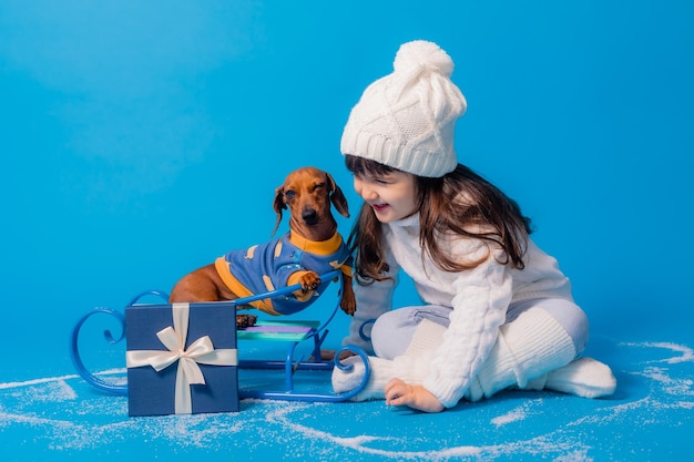 Menina morena bonitinha em um chapéu de malha branco e suéter está trenó um cachorro bassê com presentes em um fundo azul no espaço do estúdio para texto