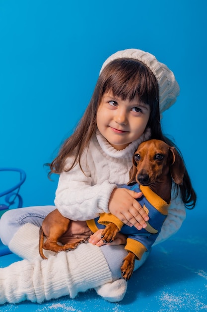 Menina morena bonitinha em um chapéu de malha branco e suéter está trenó um cachorro bassê com presentes em um fundo azul no espaço do estúdio para texto