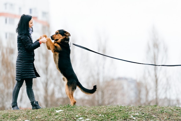 Menina morena brincando com cachorro ao ar livre