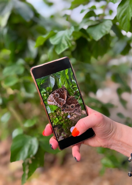 Menina mulher tirando fotos no smartphone com borboletas