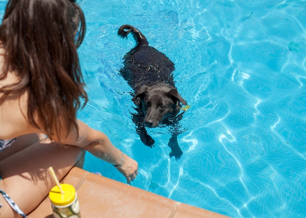 Menina na piscina com animal de estimação