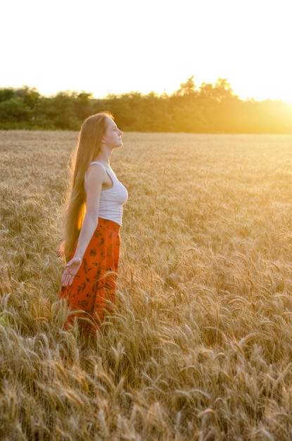 Menina nos braços em pé de campo de trigo estendidos ao pôr do sol e desfrutar do ar livre