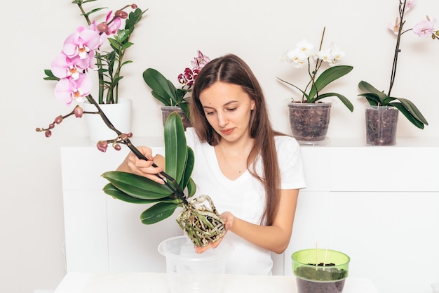 Menina plantando flores da orquídea em uma panela transparente