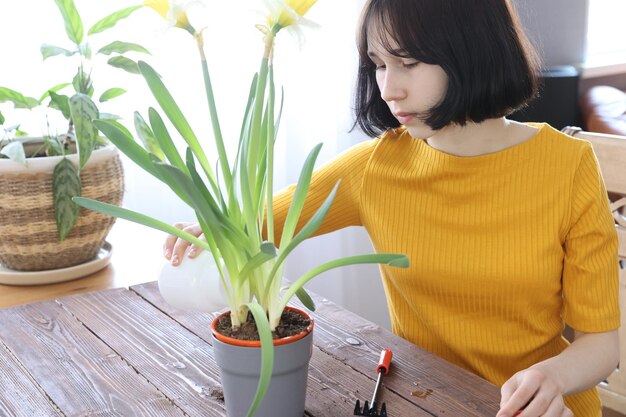 Menina rega e cuida da planta da casa