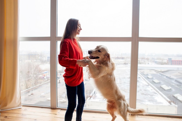 menina se levanta e segura cachorro pelas patas em casa perto da janela mulher dança com golden retriever