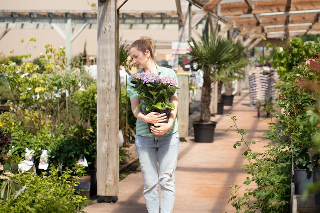 Menina segura hortênsia em uma panela em uma florista