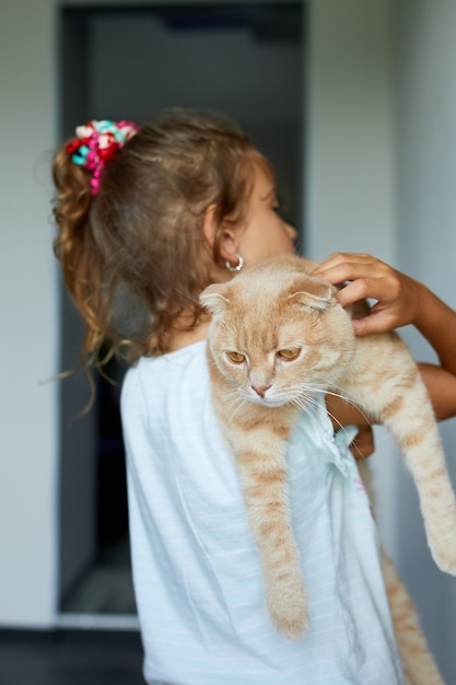Menina segurando o gato nos braços em casa interior, criança brincando com animais domésticos de estimação, adorável amigo.