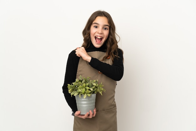 Menina segurando uma planta isolada na parede branca comemorando uma vitória