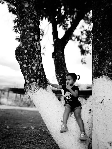 Foto menina sentada numa árvore no parque