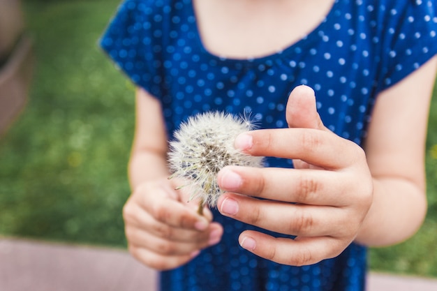 Foto menina sopra dente de leão, flor, ramos de bush, vegetação, infância, verão, comunicação, risos e brincadeira