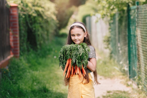 Menina sorridente em um jardim tem um monte de cenouras frescas