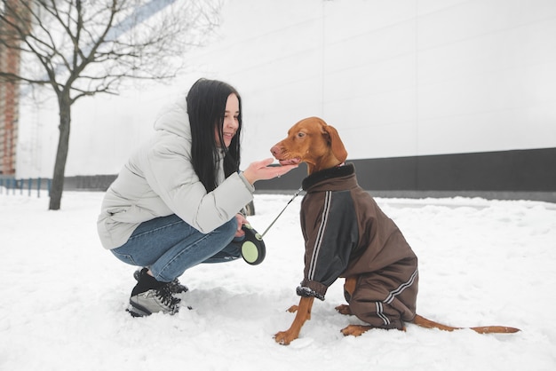 Menina sorridente na rua com um lindo cachorro vestindo roupas caminhando em um dia frio de inverno