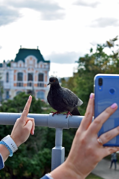 Foto menina tira fotos de pombo no parque