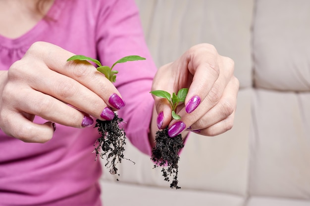 Menina transplantando mudas de plantas para um novo vaso em casa