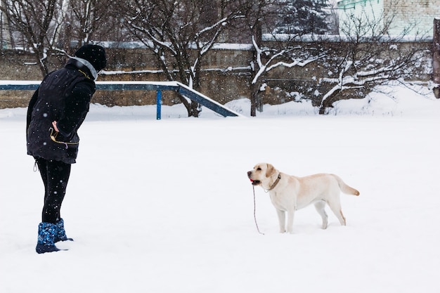 Menina treina o cão Labrador inverno