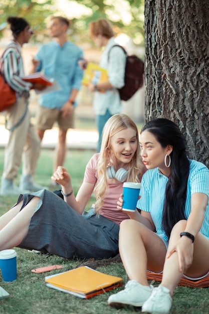 meninas alegres sentadas sob a árvore tomando café e falando sobre as últimas notícias