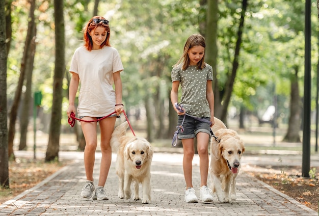 Meninas com cães golden retriever andando no parque. lindas irmãs caminhando juntas com cachorrinhos de estimação na natureza