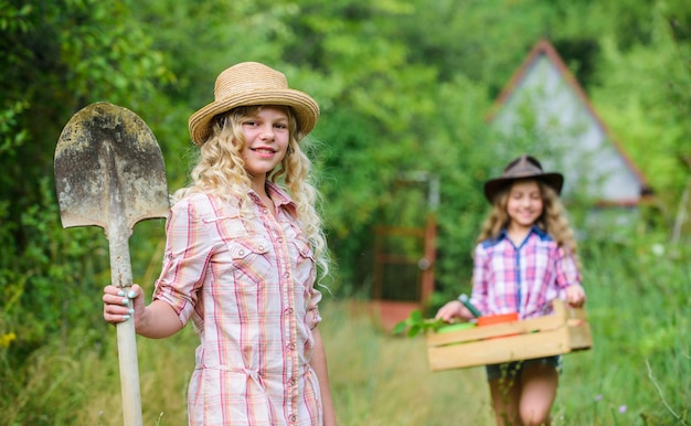 Meninas com ferramentas de jardinagem Verão no campo Irmãs ajudando no quintal Noções básicas de jardinagem Ferramentas de jardim para crianças garantem a segurança do jardineiro infantil Processo de ciclo de vida do ensino de jardinagem