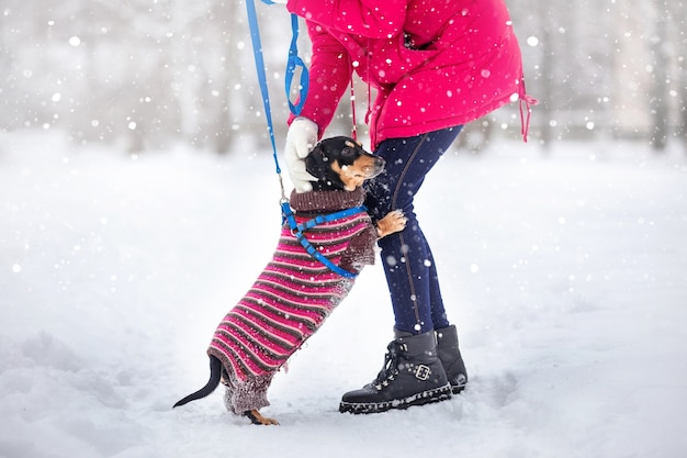 Meninas com jaquetas e chapéus quentes brincam em um parque de inverno com um cachorro passeando