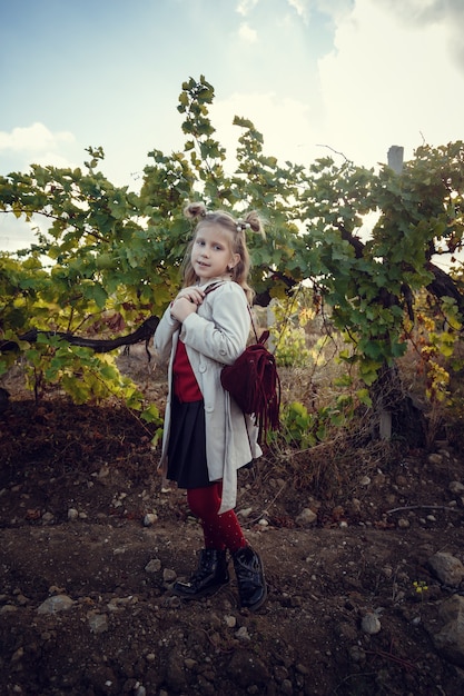 Meninas em setembro para colher vinhas, colete os cachos de uva selecionados na Itália para a grande colheita. id de conceito biológico, comida orgânica e vinhos finos feitos à mão