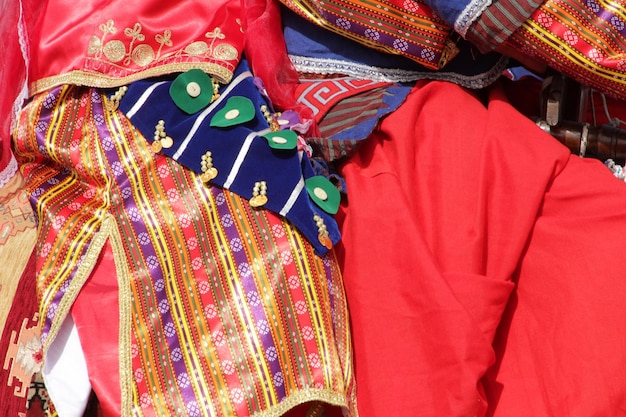 meninas em vestido folclórico em camelos