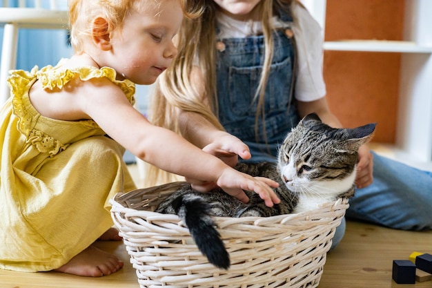 Meninas felizes acariciando o gato engraçado fofo deitado em uma cesta de palha na sala infantil com brinquedos de madeira