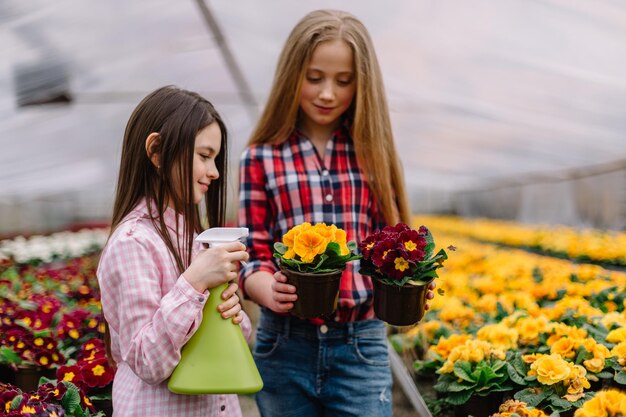 Meninas regando flores no jardim