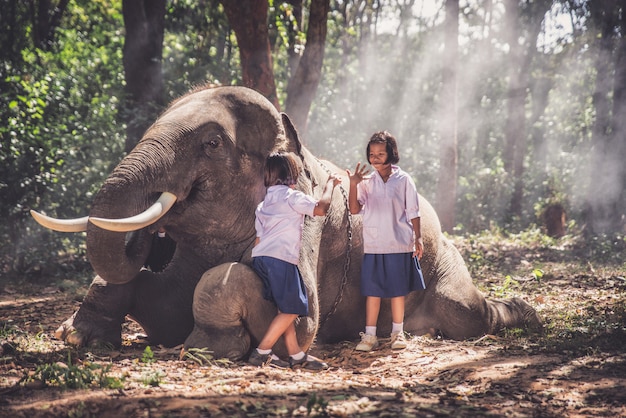 Meninas tailandesas brincando depois da escola na selva perto de seu amigo elefante