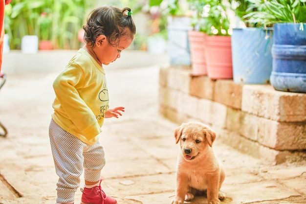 Menininha, tocando, com, dela, filhote cachorro