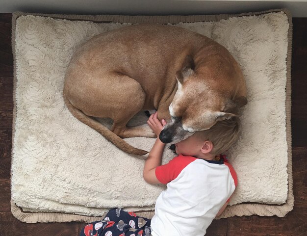 Menino a dormir com o cão.