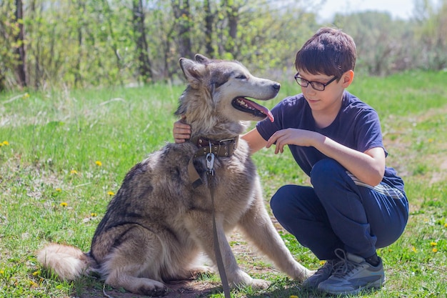 Menino abraçando um cachorro malamute do Alasca