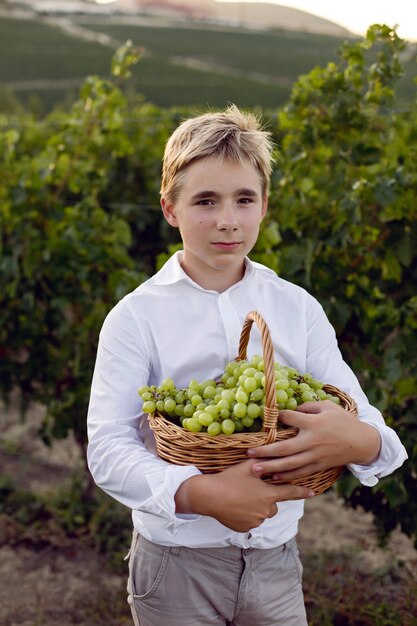 Menino adolescente com uma camisa branca em um vinhedo ao pôr do sol e segurando uma cesta de uvas verdes