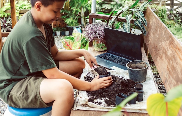 Menino aprende a cultivar flores em vasos através do ensino on-line colocando terra em vasos