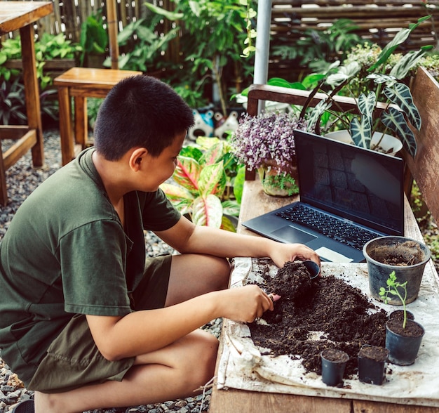 Menino aprende a cultivar flores em vasos por meio de ensino on-line, colocando terra em vasos para preparar plantas