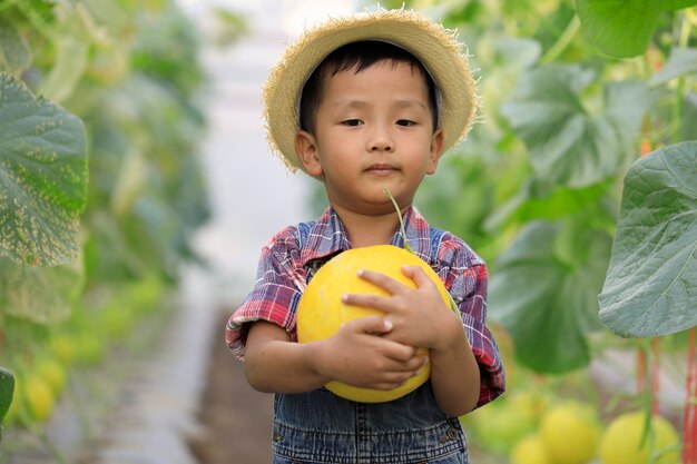 Foto menino asiático e melão dourado em uma estufa orgânica