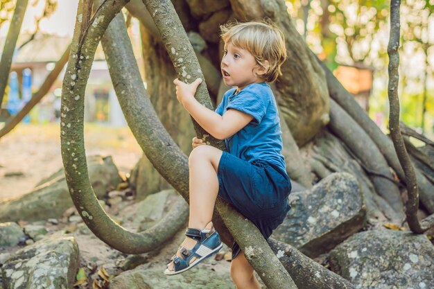 Menino assistindo lianas tropicais em florestas tropicais úmidas.