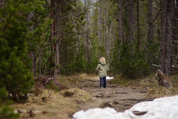 Menino bonitinho caminha no parque nacional da suíça na primavera.