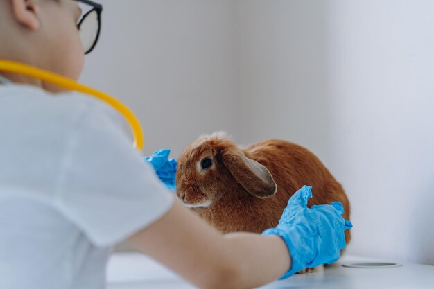 Menino bonitinho jogando veterinário estetoscópio um coelho