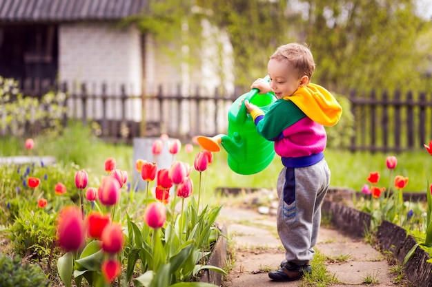 Menino bonitinho regando flores