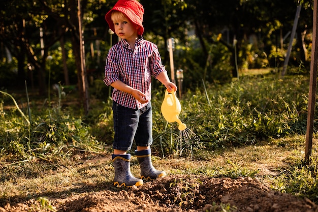 Menino bonitinho regando plantas de tomate no jardim