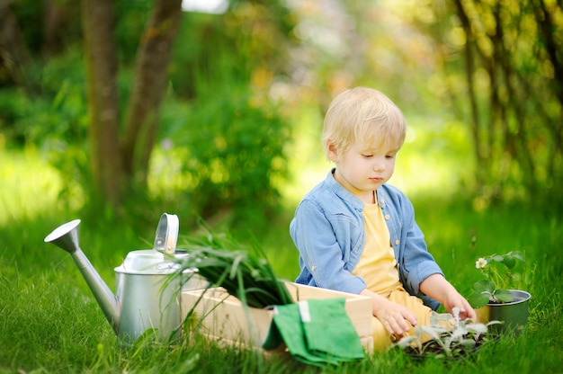 Menino bonitinho segurando mudas em potes de plástico no jardim interno em dia de verão