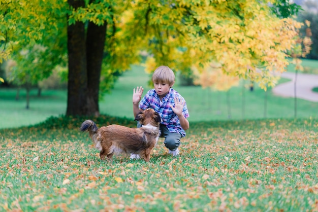 Menino bonito, brincando e andando com seu cachorro no pasto.